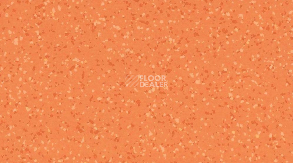 Линолеум Taralay Premium Compact Barazilia 8157 GOIAS фото 1 | FLOORDEALER